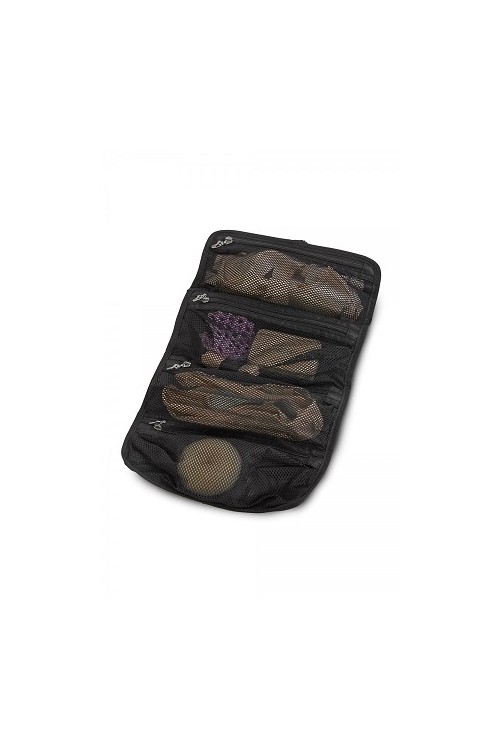 Bloch Organizer